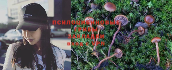 прущие грибы Алексин