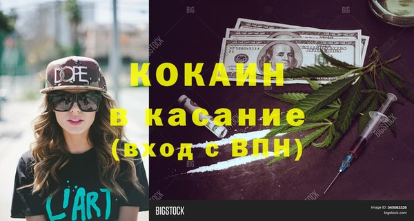 твердый Алзамай